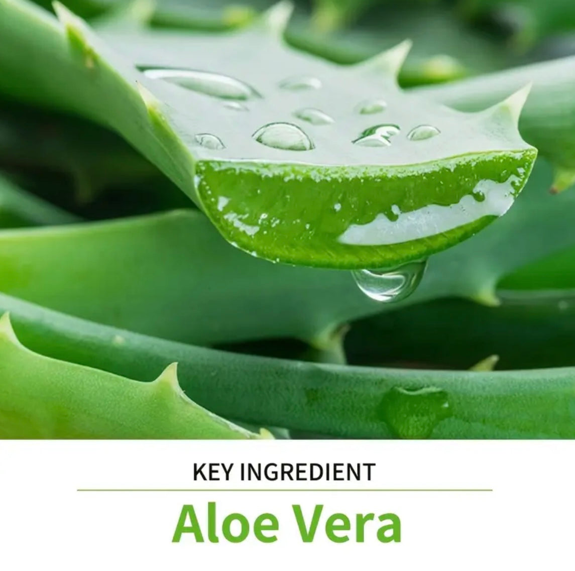 5 Pack Aloe Vera Skin Care Set