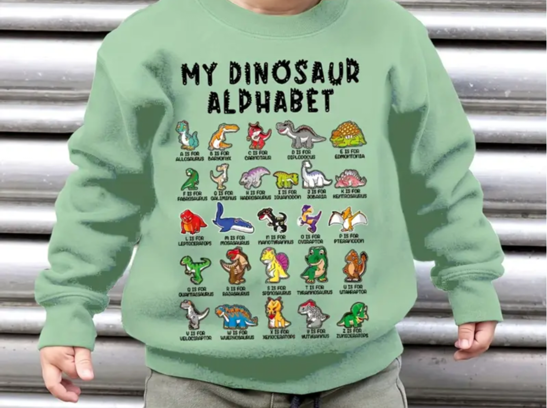 Boys Dinosaur Alphabet Jumper