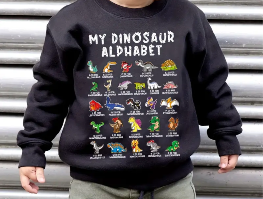 Boys Dinosaur Alphabet Jumper