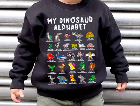 Boys Dinosaur Alphabet Jumper